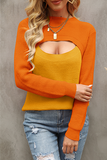 Elegant Patchwork Hollowed Out Contrast O Neck Tops Sweater