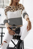 Leopard Color Block Contrast O Neck Sweaters(5 Colors)