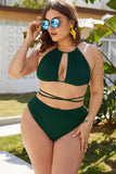 Plus Size Cutout Tied Backless Bikini Set Dd+ Bikini