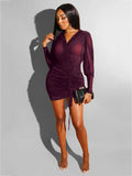 Glitter Sheer Mesh Ruched Drawstring Mini Dresses Loveclb