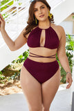 Plus Size Cutout Tied Backless Bikini Set Dd+ Bikini