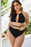 Plus Size Cutout Tied Backless Bikini Set Dd+ Bikini