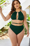 Plus Size Cutout Tied Backless Bikini Set Dd+ Bikini