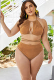 Plus Size Cutout Tied Backless Bikini Set Dd+ Bikini