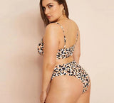 Sofia Sexy Plus Size Bikini