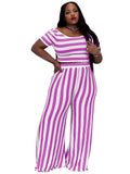 Two Piece Stripe Crop Top & Long Pant